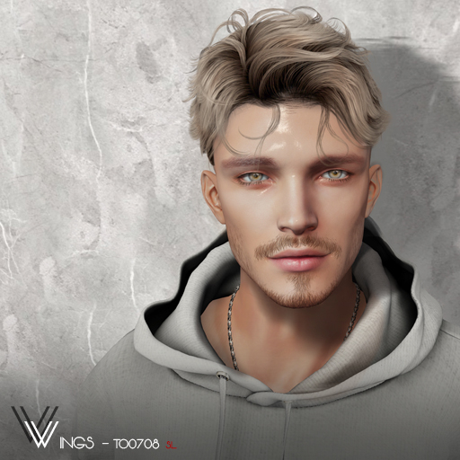 Second Life Marketplace WINGSHAIRTO0708 Brown (Pack)